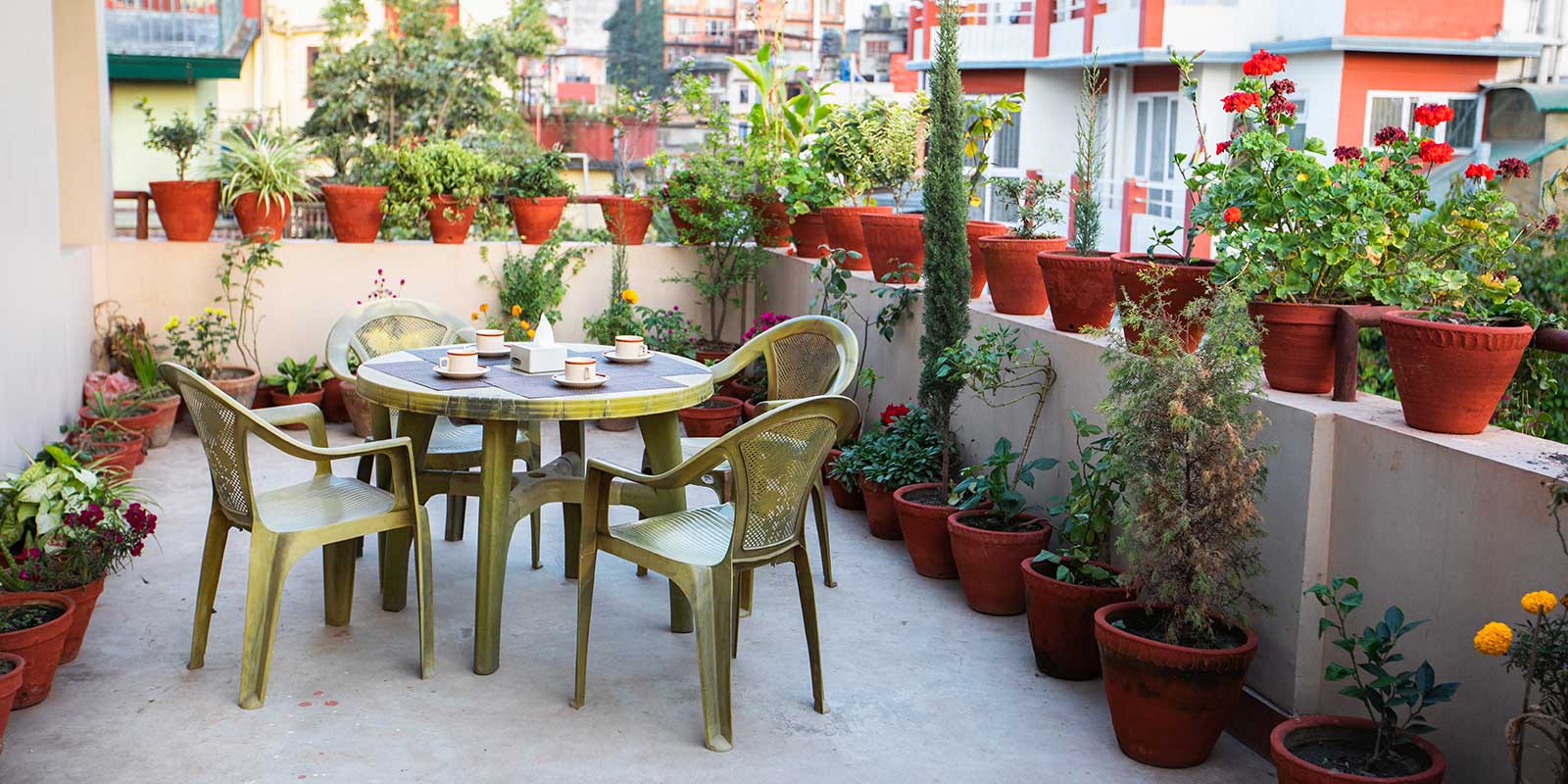 terrace